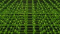 Green lattice network . Horizontal , vertical tubes , lines. 3d rendedr illustration view 3