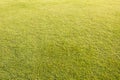 Green lawn background Royalty Free Stock Photo