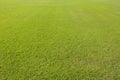 Green lawn background Royalty Free Stock Photo