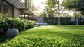a green lawn background bathed in sunlight., the lushness of the grass and the warm glow of the sun, evoking a sense of Royalty Free Stock Photo