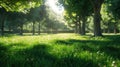 a green lawn background bathed in sunlight., the lushness of the grass and the warm glow of the sun, evoking a sense of Royalty Free Stock Photo