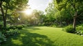 a green lawn background bathed in sunlight., the lushness of the grass and the warm glow of the sun, evoking a sense of Royalty Free Stock Photo