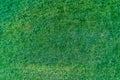 Green lawn background. Nature background. Green grass texture. Spring-fresh lawn carpet. Top view. View from above Royalty Free Stock Photo