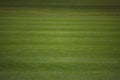 Green lawn background Royalty Free Stock Photo