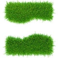 Green lawn, Backyard for background. 3d rendering grass texture