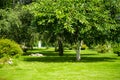 Green lawn backyard garden house Royalty Free Stock Photo