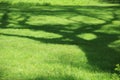 Green lawn in central park Royalty Free Stock Photo