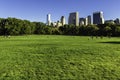 Green lawn in Central Park, New York Royalty Free Stock Photo