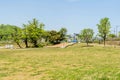 Green lawn with copse of trees Royalty Free Stock Photo