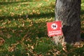 Green lawn with fallen maple leaves and a sign with the inscription in Ukrainian: dog walking is prohibited Royalty Free Stock Photo