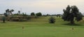 Green lawn and flags