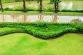 Green lawn, Fresh natural scenery after the rain stops, the green lawn after the rain stops, the garden on the front lawn Royalty Free Stock Photo