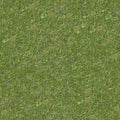 Green Lawn Grass. Seamless Texture.