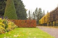 Green lawn, hedge and path covered with fallen leaves in the autumn park. Golden days. October. Royalty Free Stock Photo