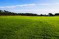 Green lawn at Margam country park grounds, Whales Royalty Free Stock Photo