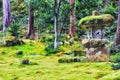 D JP Ohara sanzen garden lawn moss Royalty Free Stock Photo