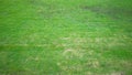 green lawn Natural living area that looks Royalty Free Stock Photo