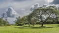 The green lawn is neatly trimmed. Sprawling trees grow in the clearing.