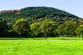 Green lawn and old trees at Margam country park grounds, Whales