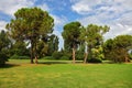 The green lawn in Park Sigurta Royalty Free Stock Photo