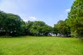 Green lawn and trees in garden