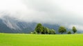 Green lawn and trees with wooden stable in ramsau dachstein Royalty Free Stock Photo