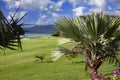 Green lawn under palm trees, sea and mountains on a background. Mauritius Royalty Free Stock Photo