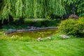 Green lawn and water garden on the back yard Royalty Free Stock Photo