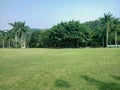 Green lawn in xianhu botanical garden Royalty Free Stock Photo