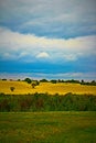 Green Lawn, Yellow Field and Blue Sky