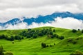 The green lawnand trees  in the summer valley meadows of Nalati Royalty Free Stock Photo