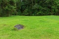 Green lawns Royalty Free Stock Photo