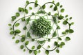 Green Leaf Atom Symbol on White Background for Eco-Friendly Designs.