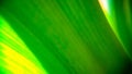 Green leaf background design