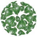 Green leaf background