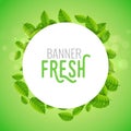 Green leaf banner vector background branch spring foliage nature forest illustration banner Royalty Free Stock Photo