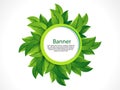 Green Leaf Banner Royalty Free Stock Photo