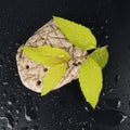 With a green leaf on a black background closeup of a beautiful white stone Royalty Free Stock Photo