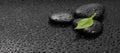 Green leaf and Black stones with drops. Nature background Royalty Free Stock Photo