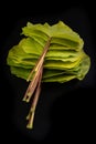 Green leaf on a black table. Large leaves of a plant from Central Europe Royalty Free Stock Photo