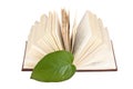 green leaf bookmark in a book