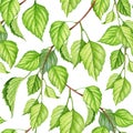 Green leaf with branches seamless pattern. Watercolor illustration. Birch leaves, branches in seamless pattern. Green