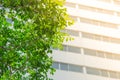 Green leaf with building background and sun light effect Royalty Free Stock Photo