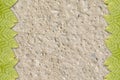 Green leaf on cement wall Royalty Free Stock Photo