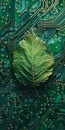 Green leaf on a circuit board representing eco-friendly technology Royalty Free Stock Photo
