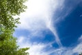 Green leaf with Cloud bright sky