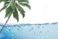 Green leaf coconut tree over Water ripple on white Royalty Free Stock Photo