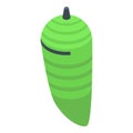 Green leaf cocoon icon isometric vector. Stage cute leaf Royalty Free Stock Photo