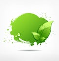 Green leaf concept ecology