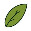 Green leaf with contour, vector children illustration